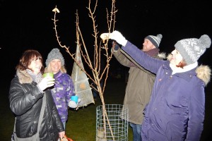 Wassail 33 WEB 14-1-17